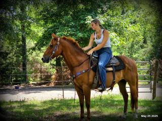 Smart Little Buzz AKA hawk