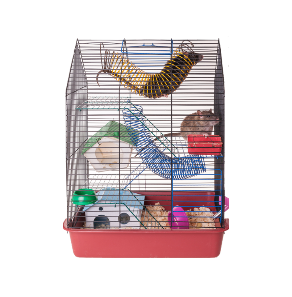 Pet Supplies & Food
