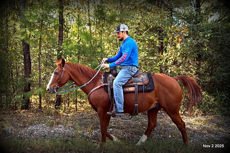 💚Ranger Safe for All Ages💚