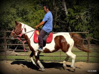 Jazzy – A Warrior Seeking Her Second Chance