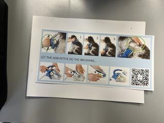 Petite Dp Auto Dog Brush