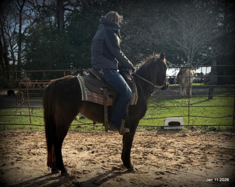 🩷❤️Pixie🩷❤️