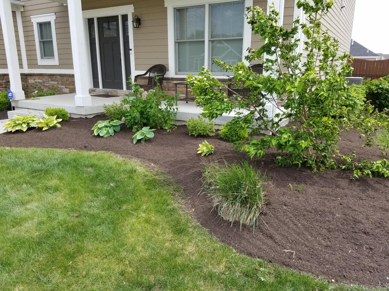 Mulching & Planting