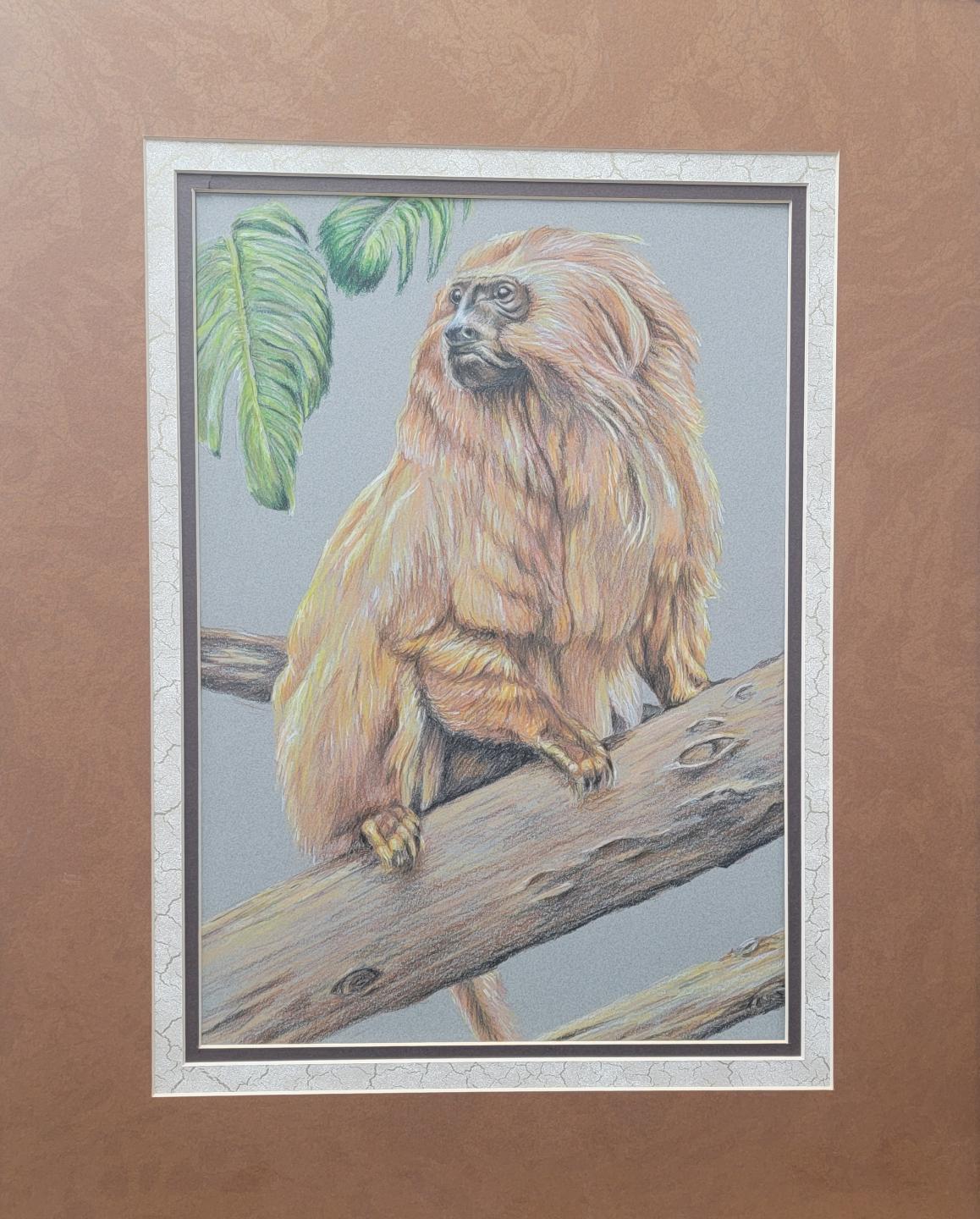 Monkey