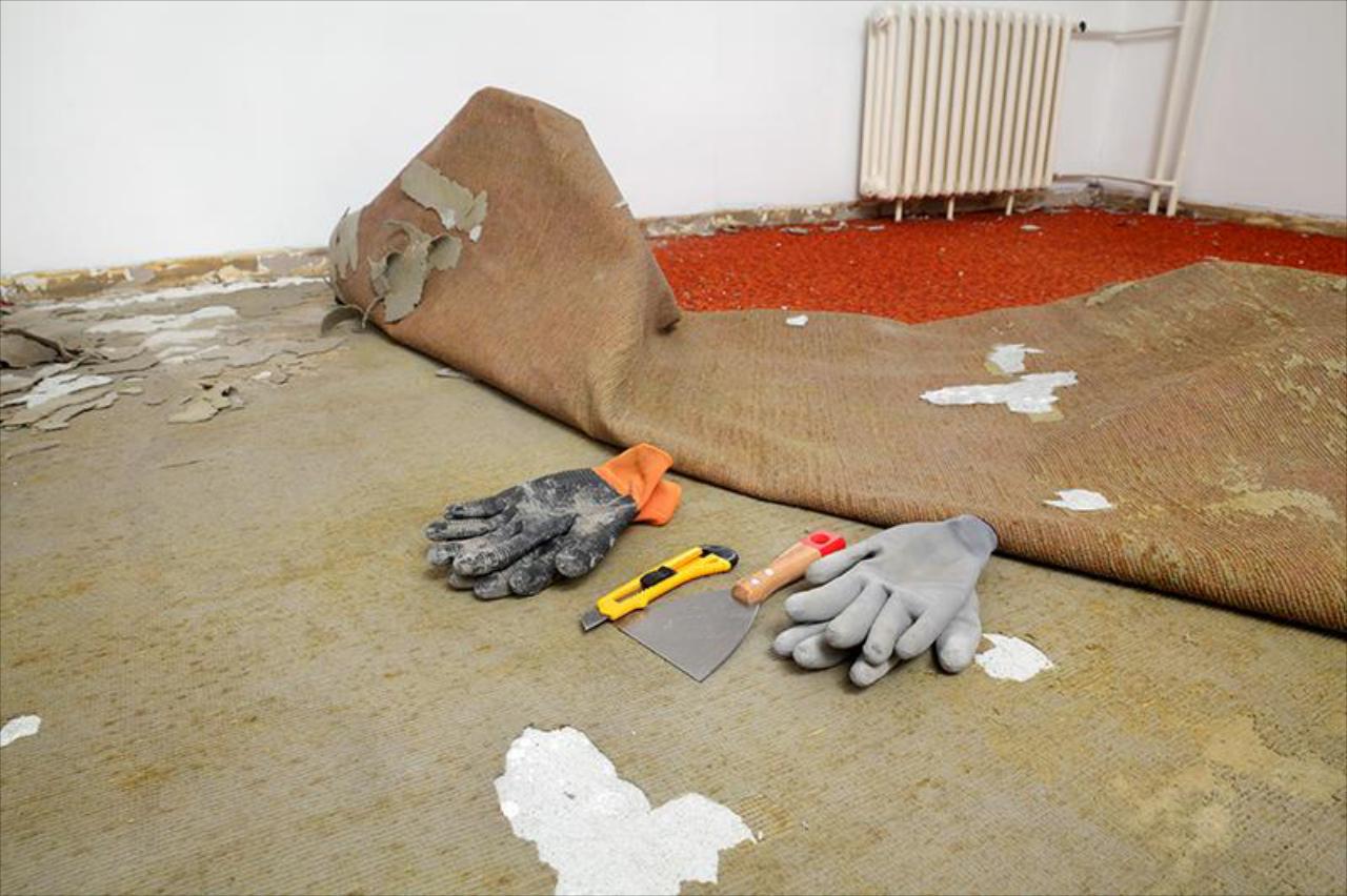 Carpet Repair