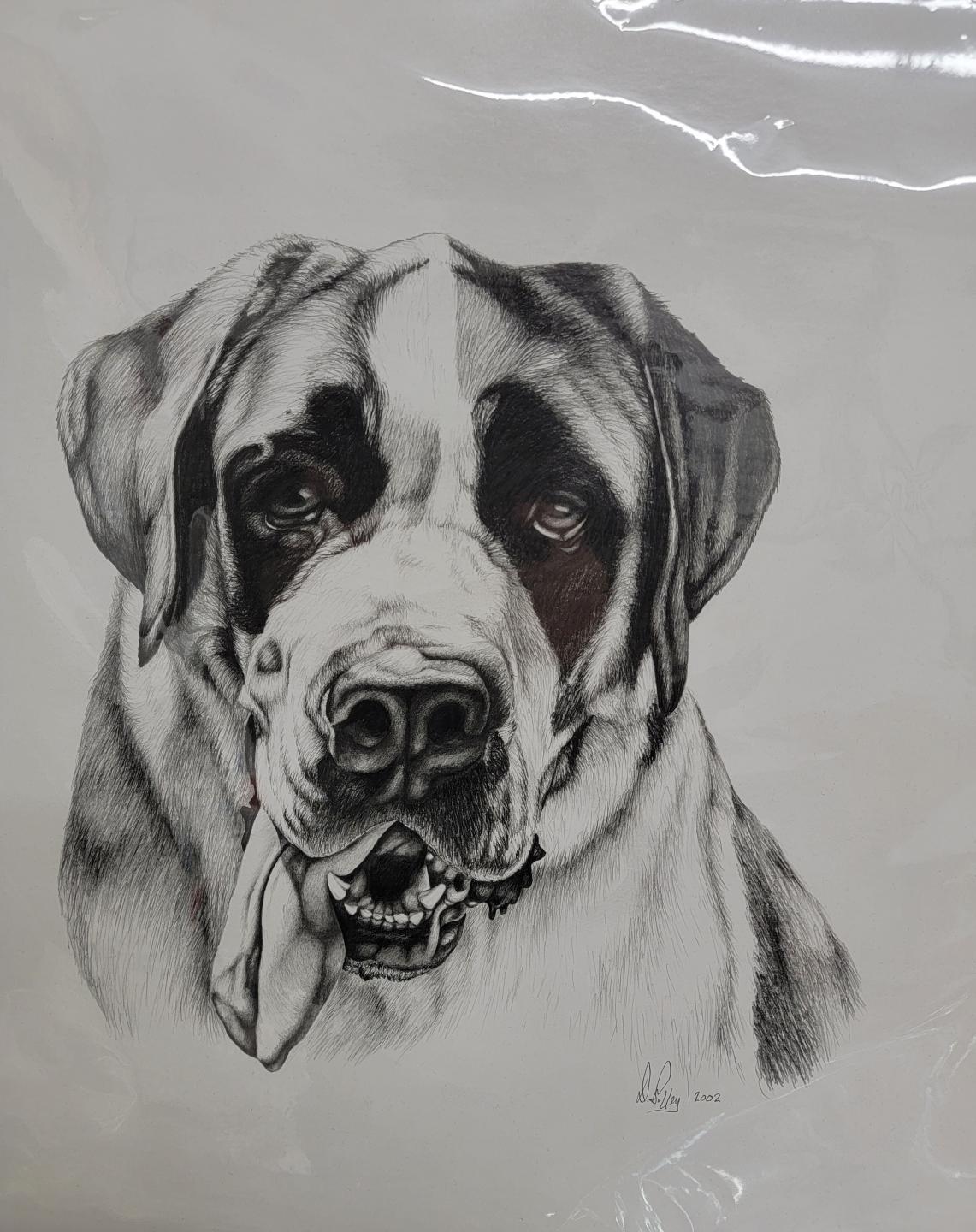 St. Bernard