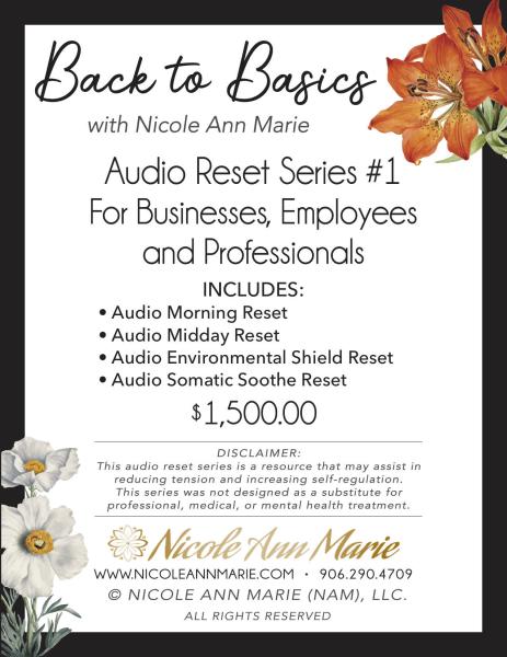 Back-to-Basics Audio Reset Series #1  for Business Professionals