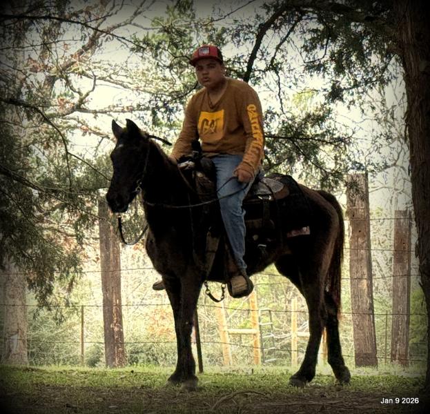 🩷❤️Pixie🩷❤️