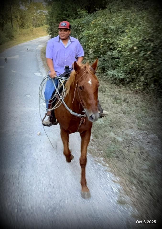 Biggie – Ranch-Tested, Family-Safe, and Ready to Ride!