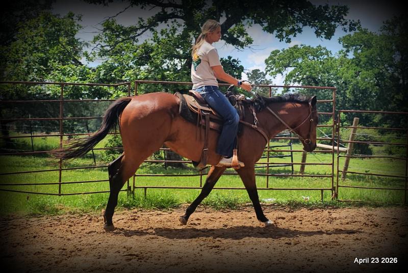 Darylslitlediablo (Diablo)