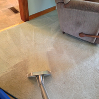 Carpet Cleaning