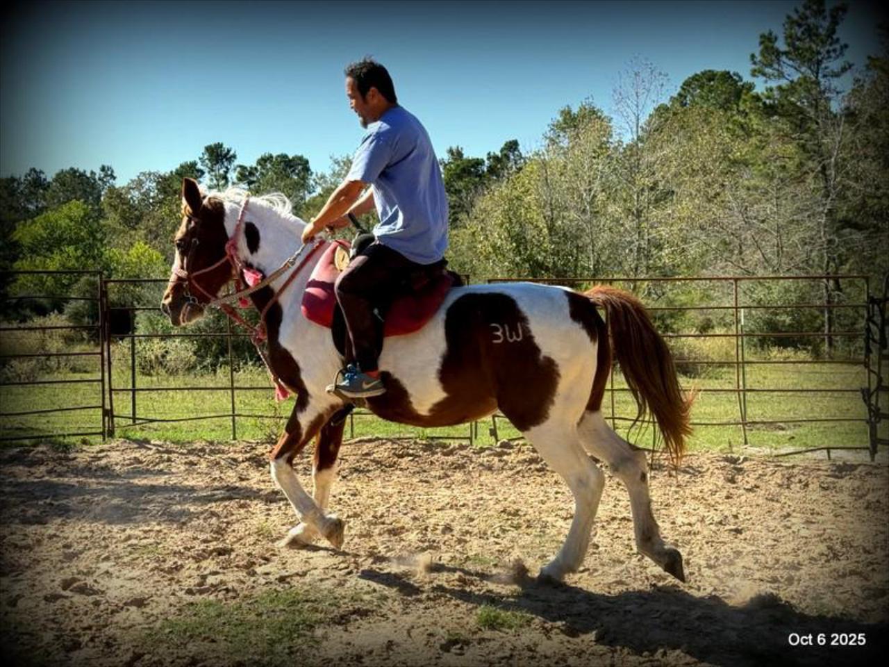 Jazzy – A Warrior Seeking Her Second Chance