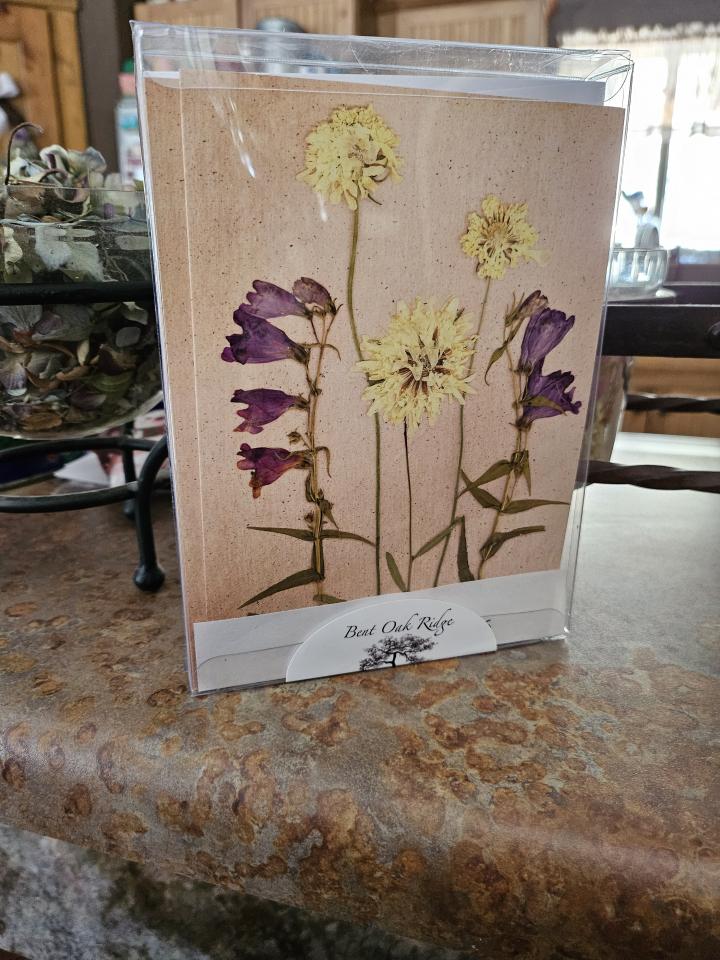 Purple Daze Series Cards 10 pack print cards