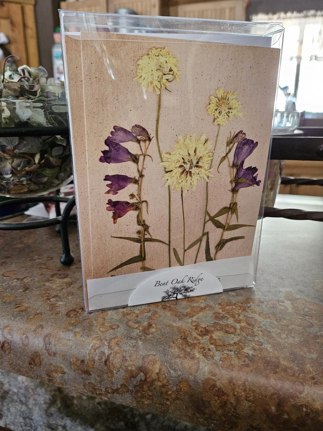 Purple Daze Series Cards 10 pack print cards