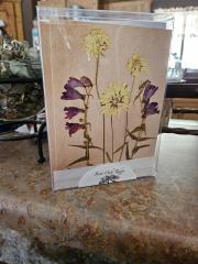 Purple Daze Series Cards 10 pack print cards