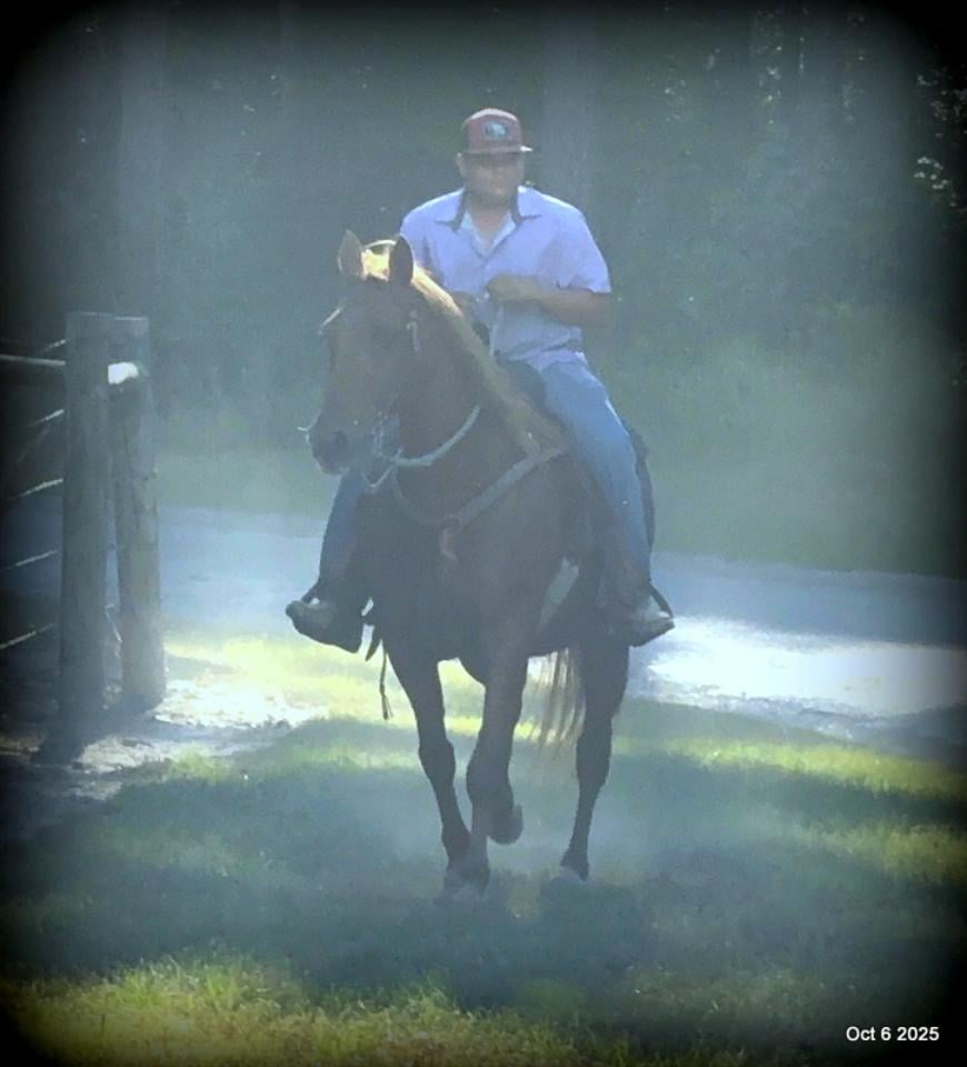 🌹 Meet Missouri – The Mare That Makes Every Ride Feel Like Home 🌹