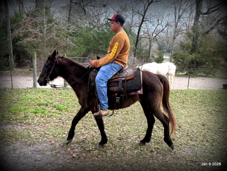 🩷❤️Pixie🩷❤️