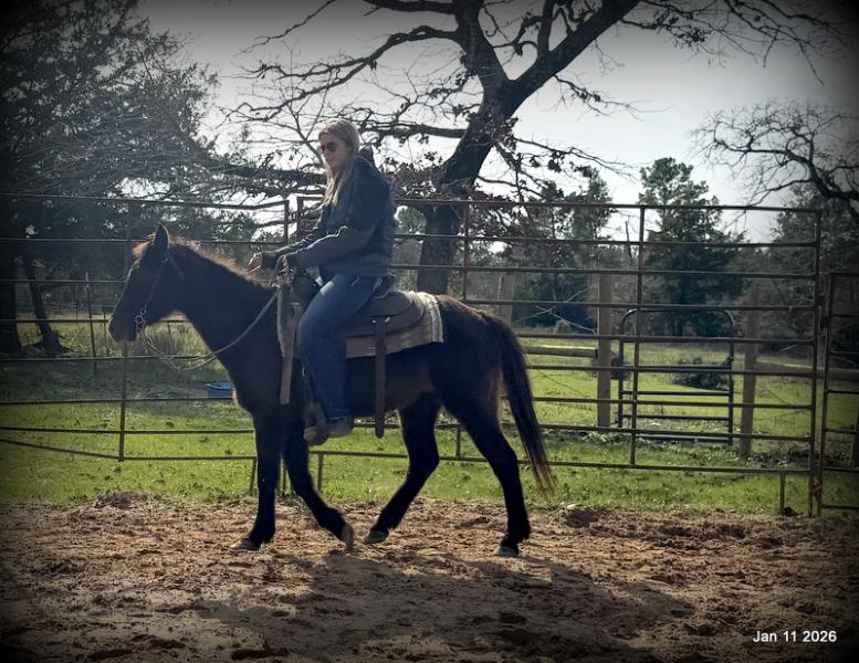 🩷❤️Pixie🩷❤️