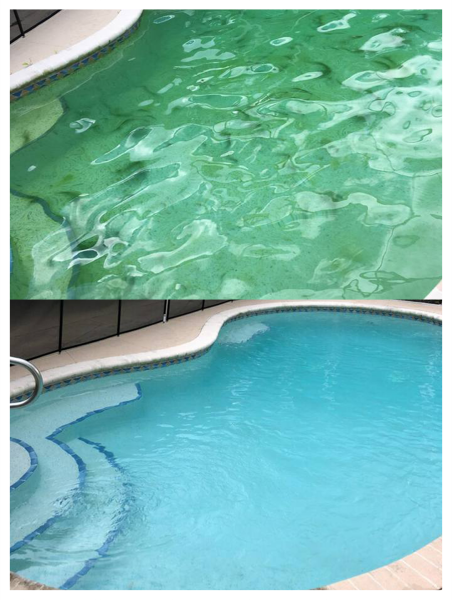 Pool Stains and Stain Treatments