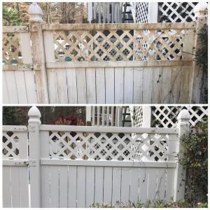 Deck &amp; Fence Restoration