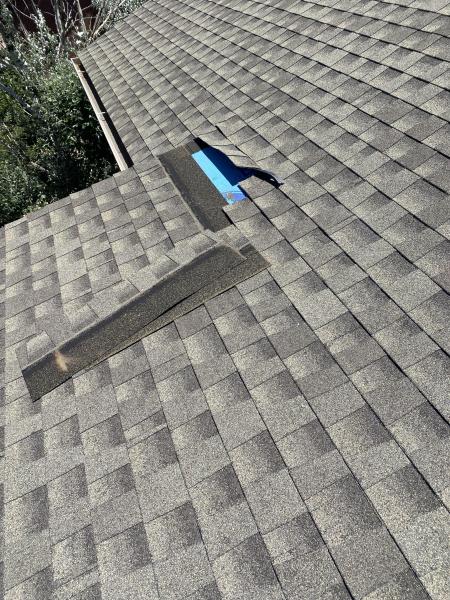 Roof Maintenance