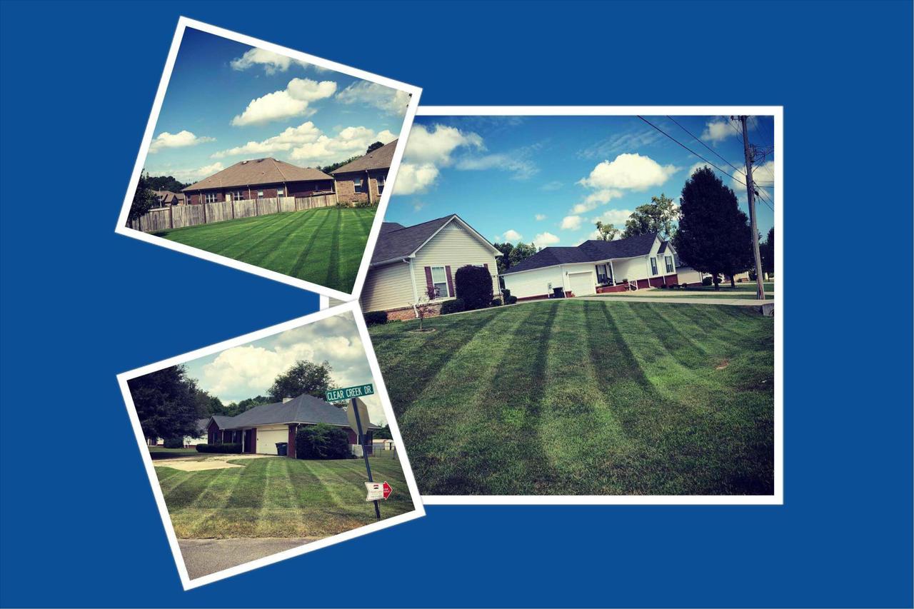 Professional Lawn Care &amp; Landscaping Contractor in Madison, AL