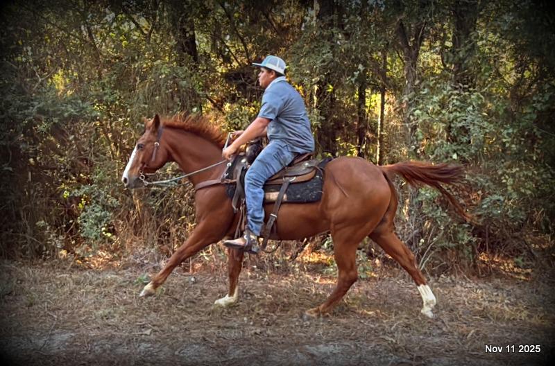 💚Ranger Safe for All Ages💚