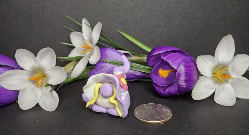 Purple and White Flower Gnome