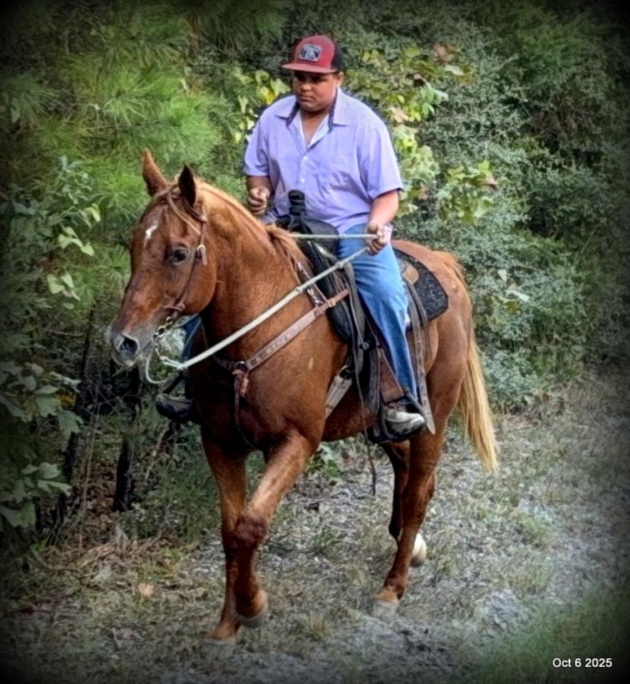 Biggie – Ranch-Tested, Family-Safe, and Ready to Ride!