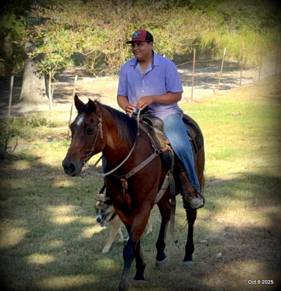 🌟 Meet Brownie – Your All-Around Ranch and Trail Partner 🌟
