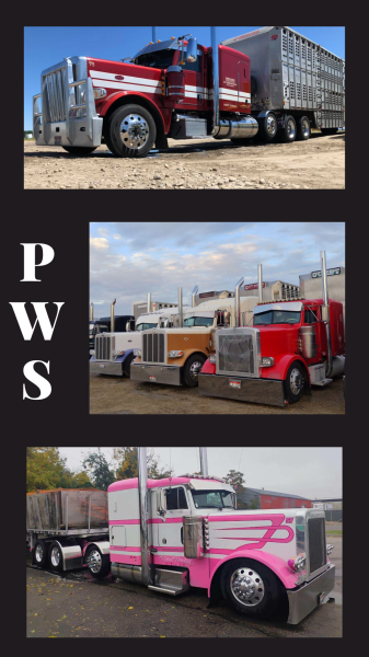 We specialize in mobile fleet washing services for fleets of any size