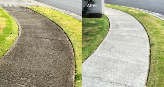 Sidewalk Cleaning