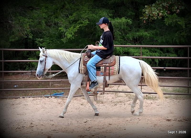 💛 🐴 Wisp • Beginner Safe, Smooth & Gentle Trail Mare 💛