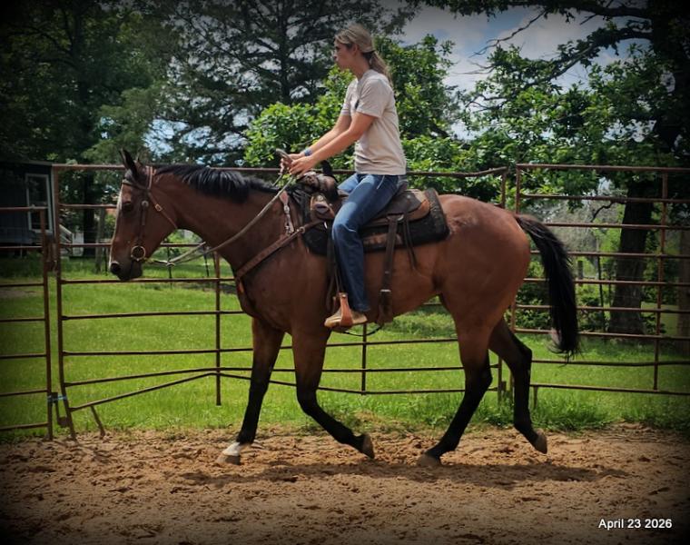 Darylslitlediablo (Diablo)