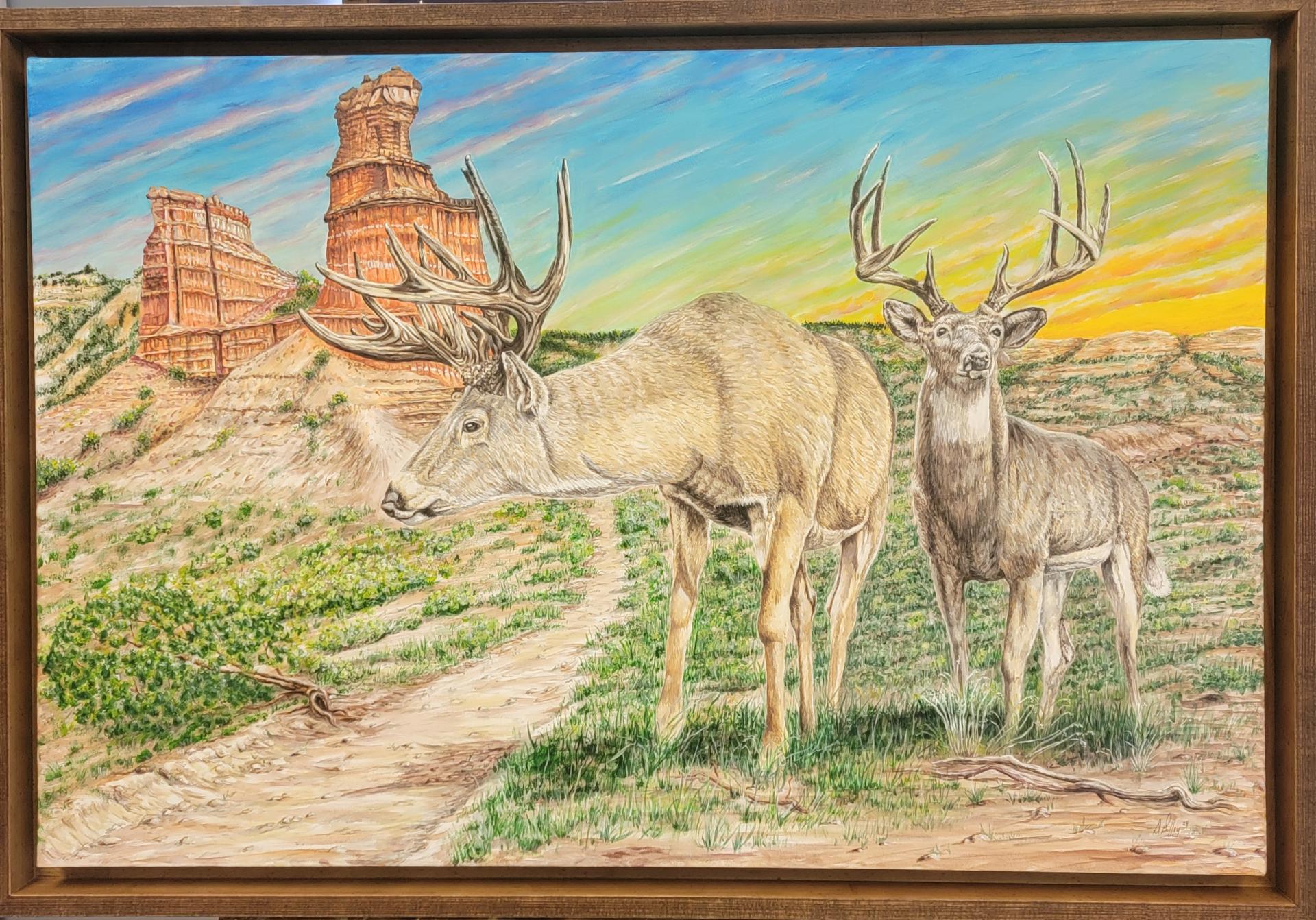 Palo Duro Bucks