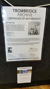 TROWBRIDGE BAD HAIR DAY RETIRED LTD EDITION