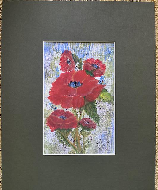 Poppys in Bloom