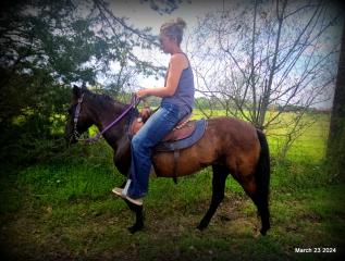Shey