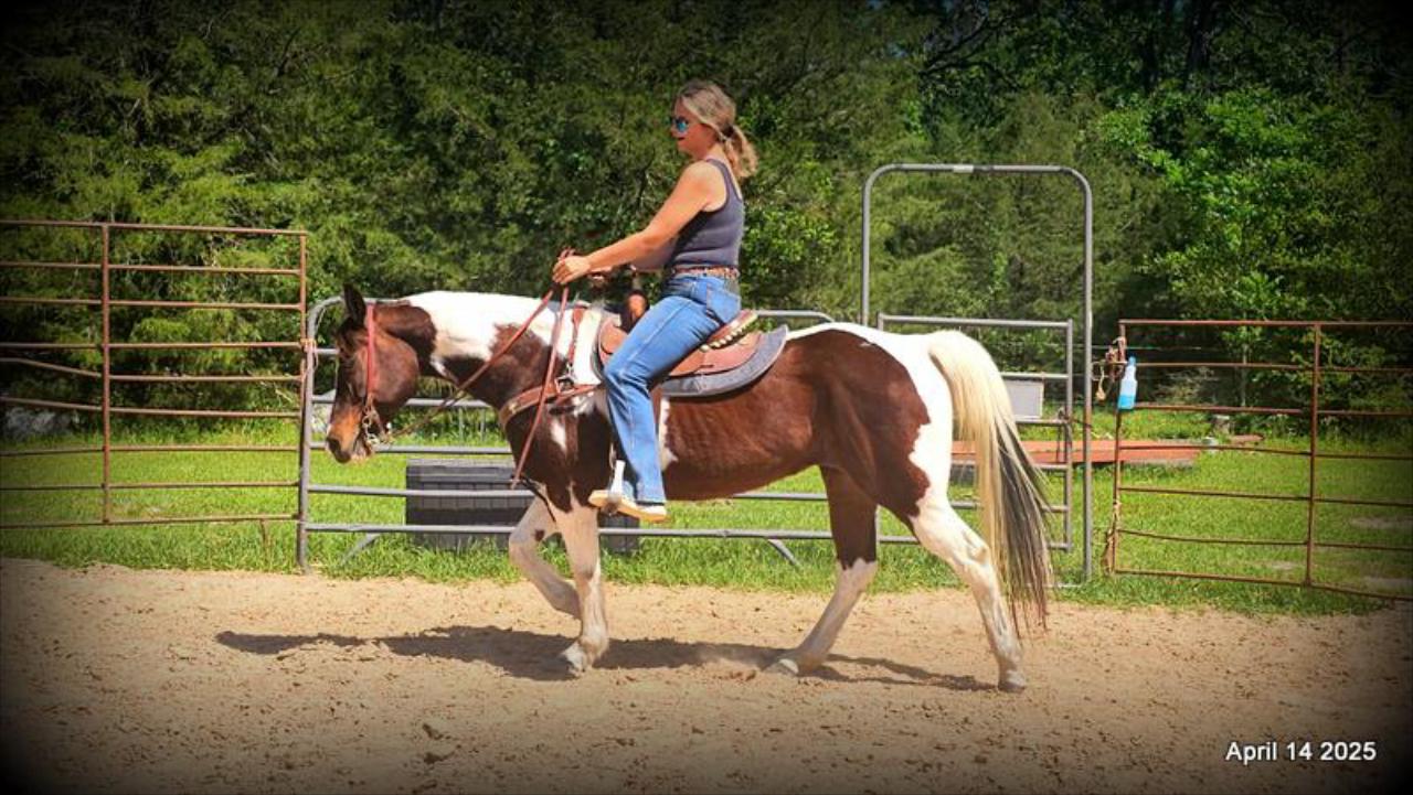 Montana – The Picture-Perfect Partner with All the Right Moves