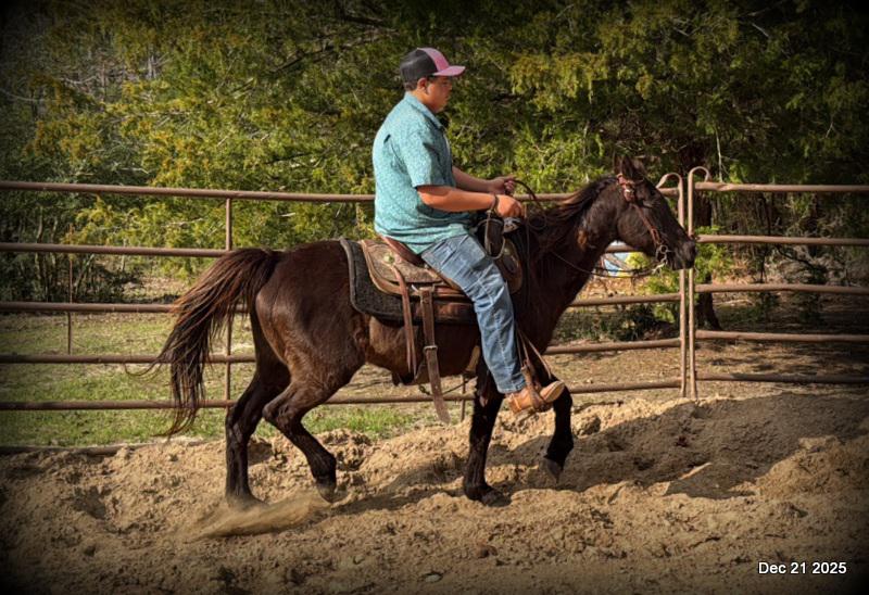 🩷❤️Pixie🩷❤️