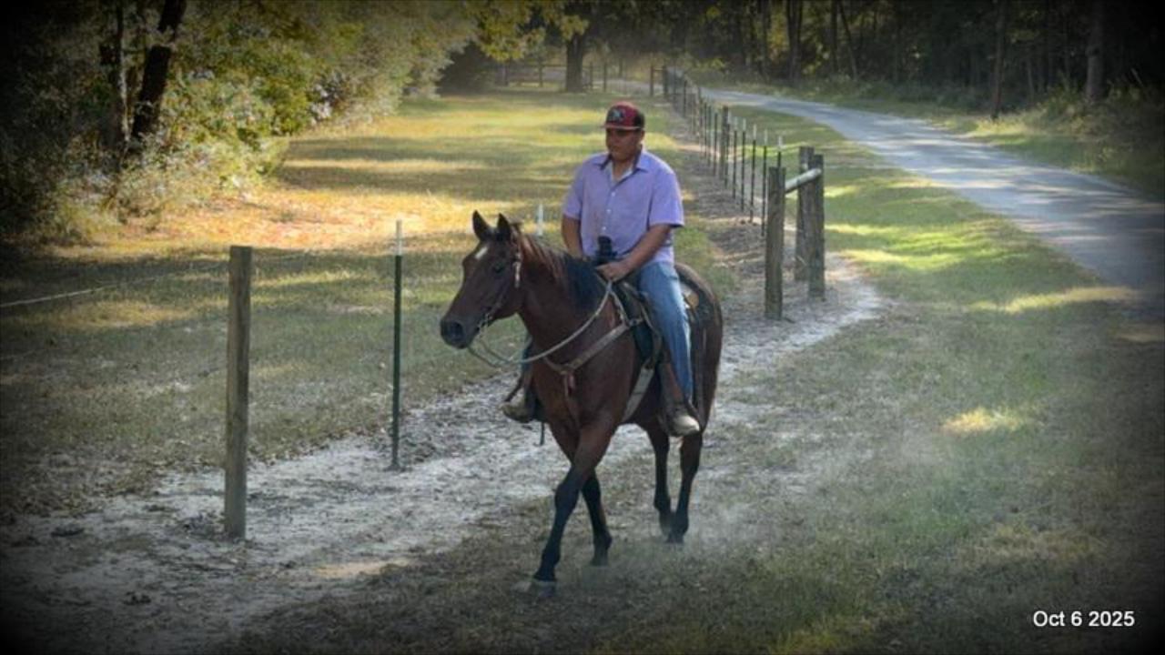 🌟 Meet Brownie – Your All-Around Ranch and Trail Partner 🌟