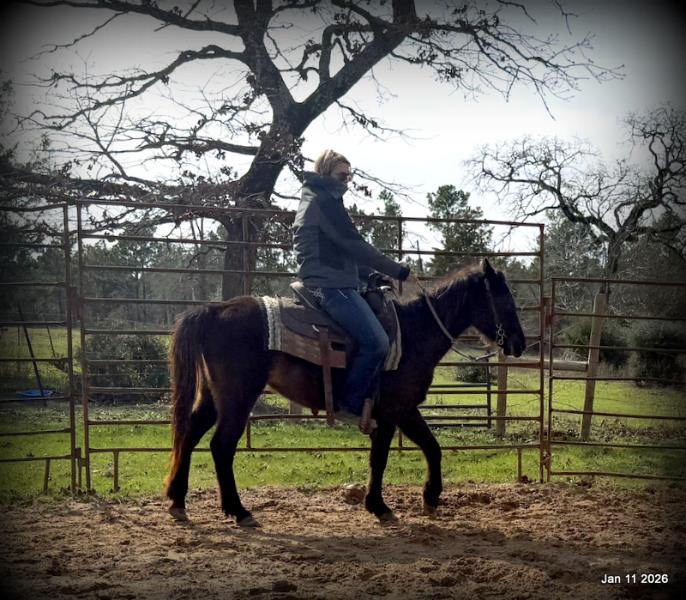 🩷❤️Pixie🩷❤️