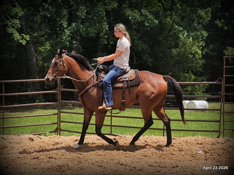 Darylslitlediablo (Diablo)