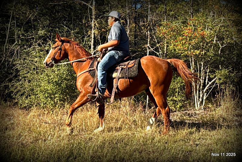 💚Ranger Safe for All Ages💚
