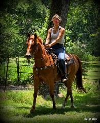 Smart Little Buzz AKA hawk