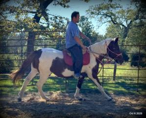 Jazzy – A Warrior Seeking Her Second Chance