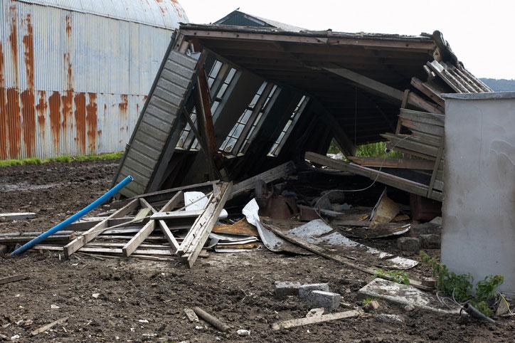 Shed Demolition