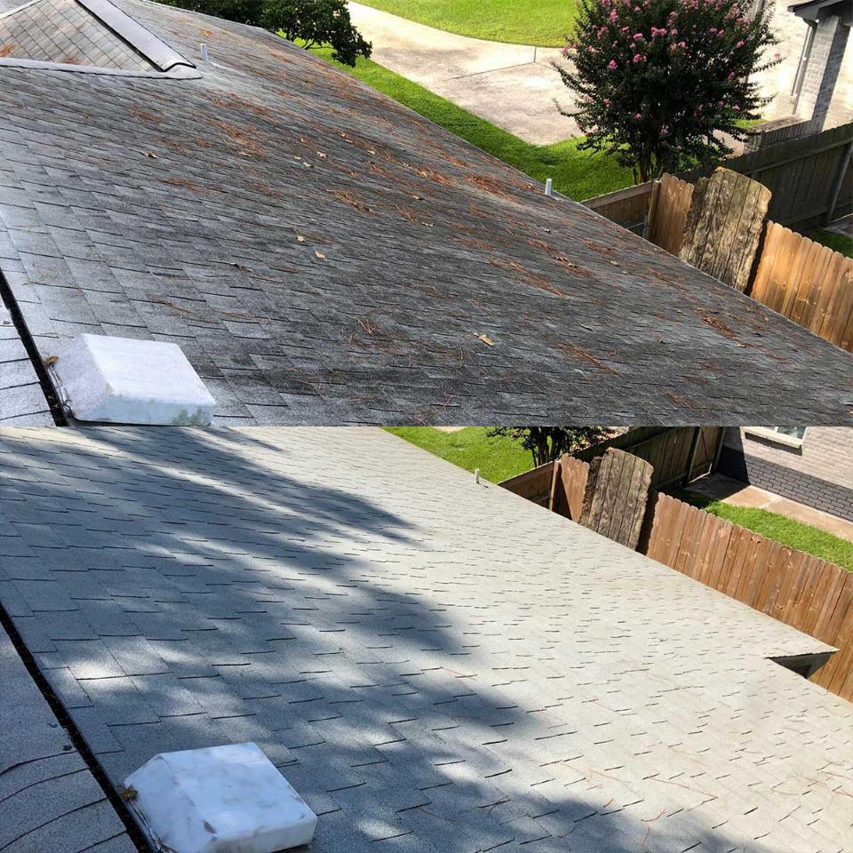 Roof Cleaning