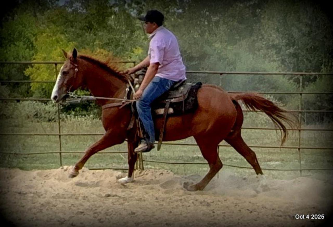 Ranger Safe for All Ages