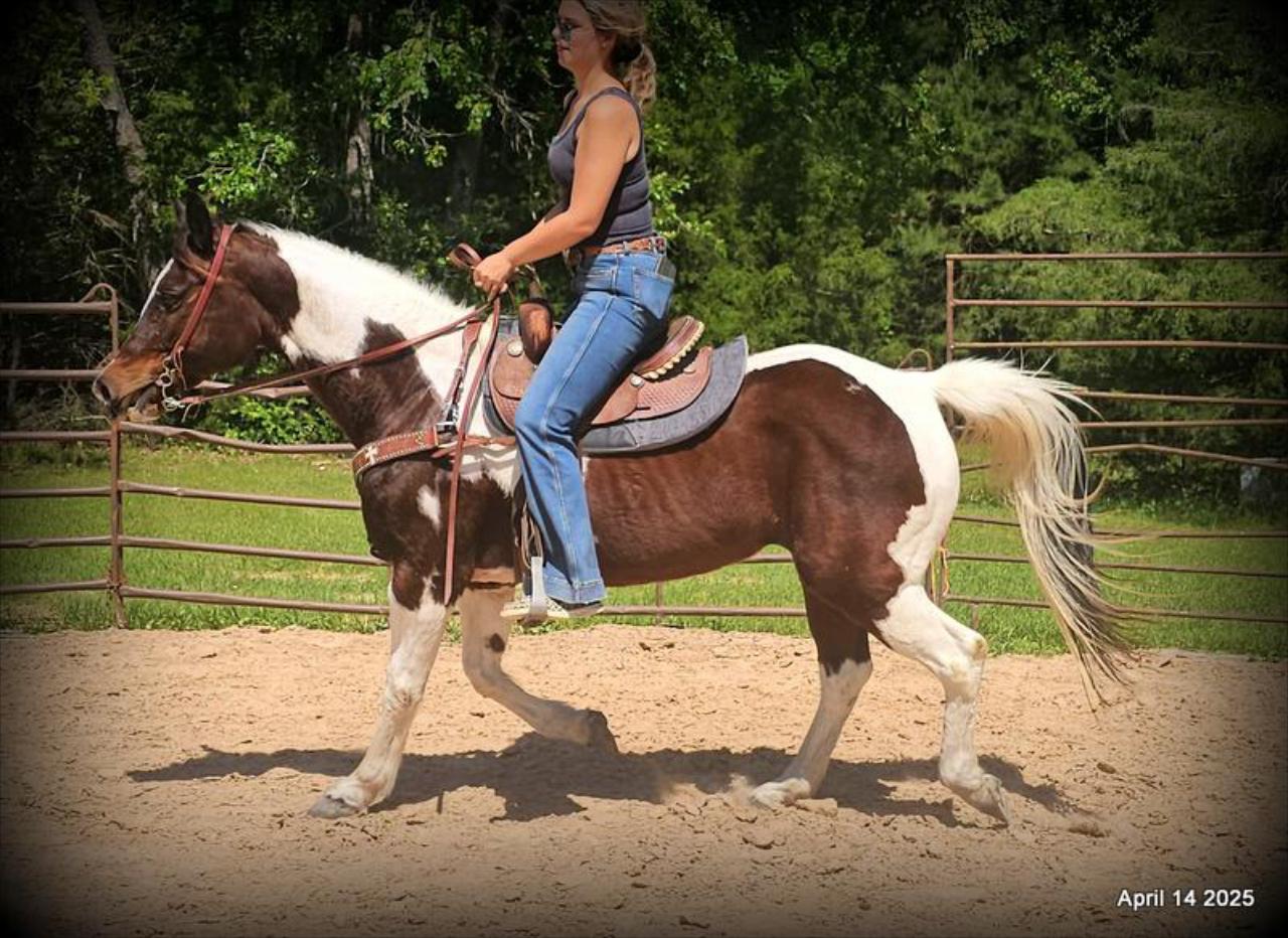 Montana – The Picture-Perfect Partner with All the Right Moves